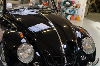 IMG_7103.jpeg IMG_7103.jpeg